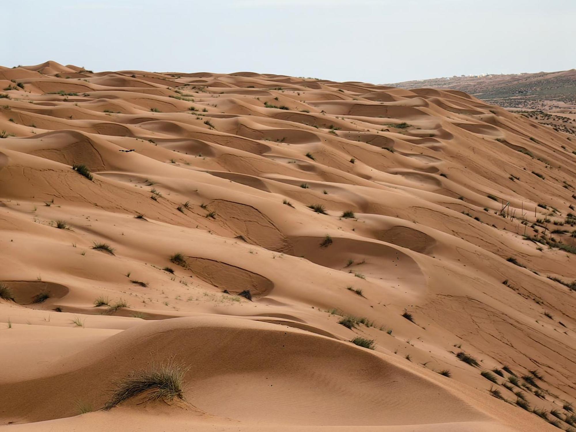 Desert Rose Camp Badīyah Exterior foto